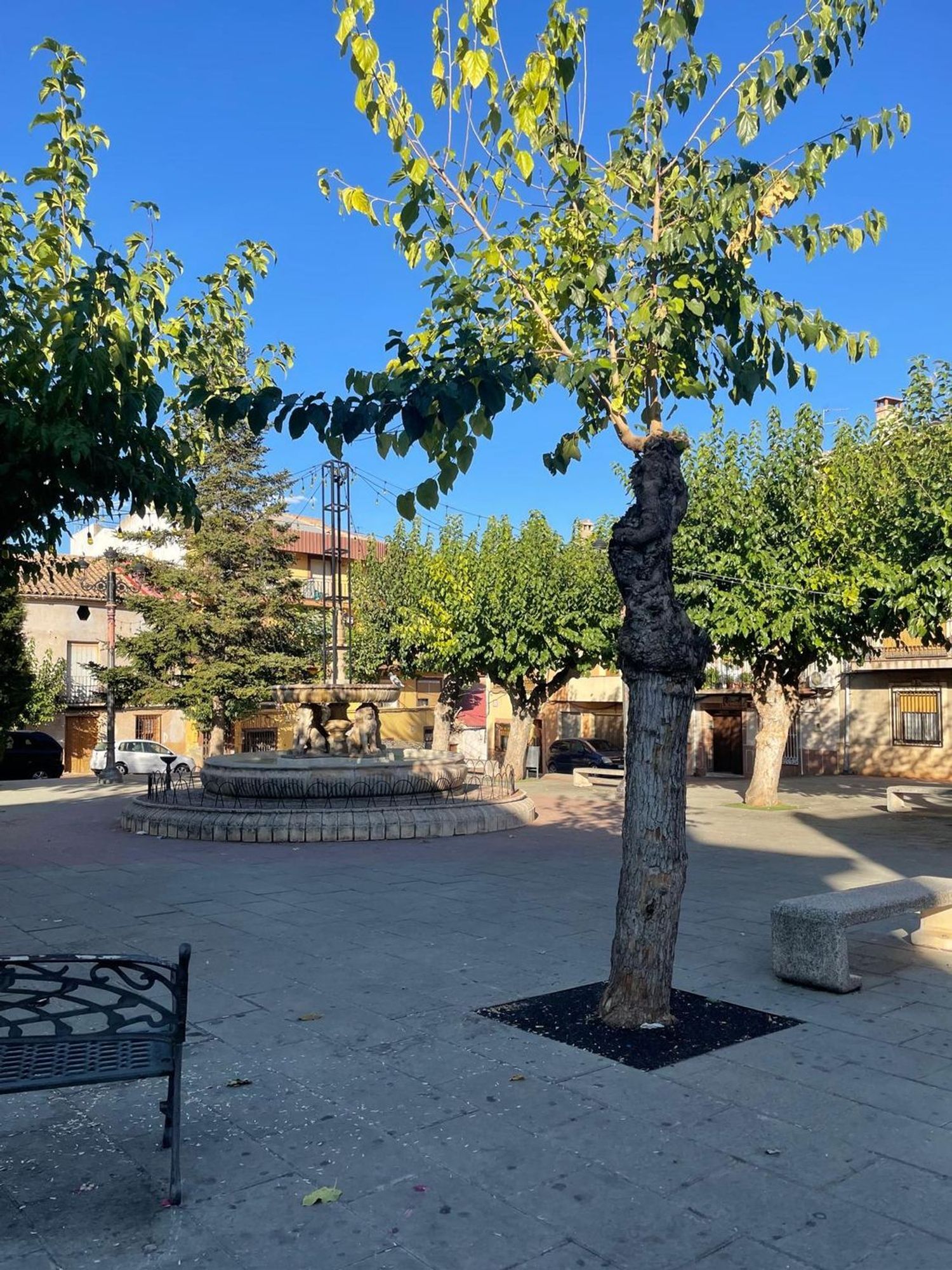Casas o chalets-Venta-Villanueva de la Fuente-1866550-Foto-93