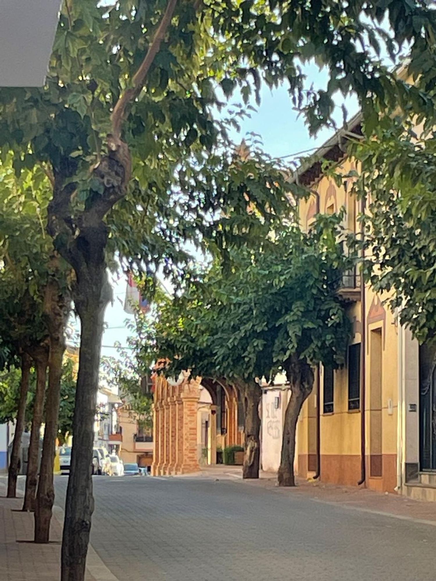 Casas o chalets-Venta-Villanueva de la Fuente-1866550-Foto-95
