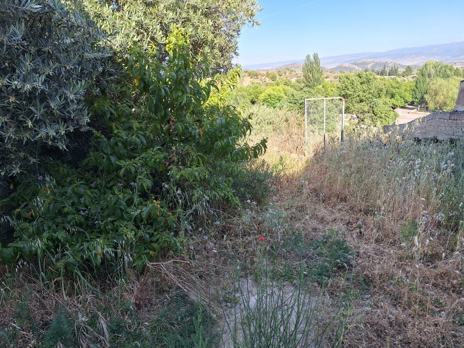 Casas o chalets-Venta-Villanueva de la Fuente-1745070-Foto-15