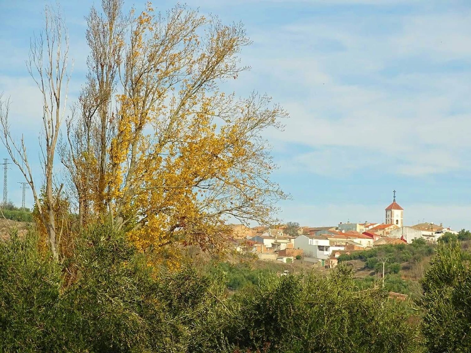 Casas o chalets-Venta-Villanueva de la Fuente-1745070-Foto-16