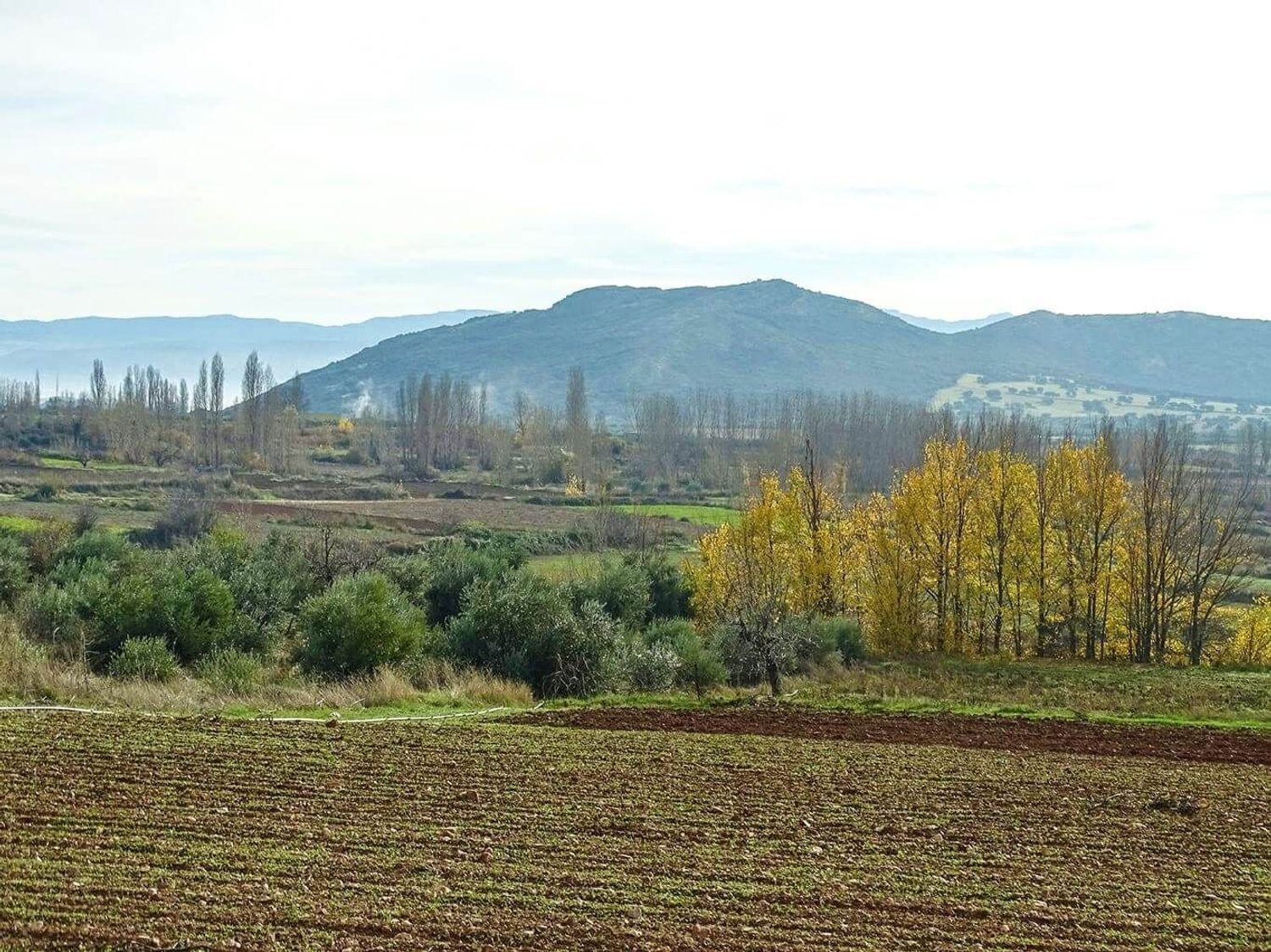 Casas o chalets-Venta-Villanueva de la Fuente-1745070-Foto-17