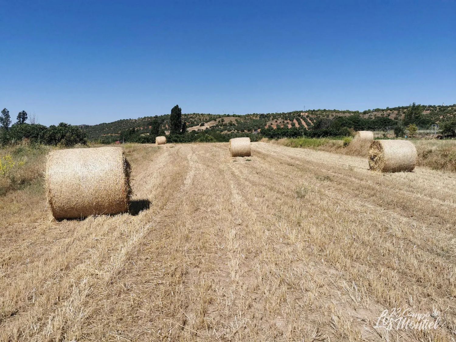 Casas o chalets-Venta-Villanueva de la Fuente-1745070-Foto-20