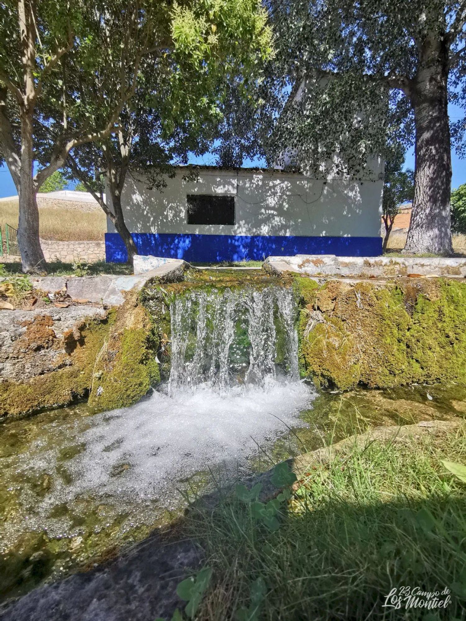 Casas o chalets-Venta-Villanueva de la Fuente-1745070-Foto-23