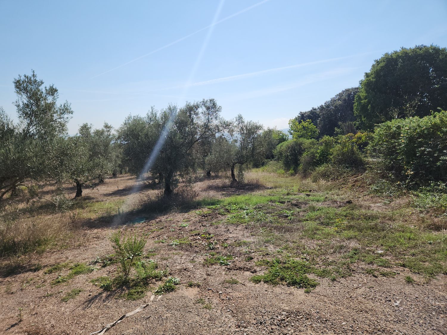 Fincas y solares-Venta-Polinyà-1833367-Foto-4