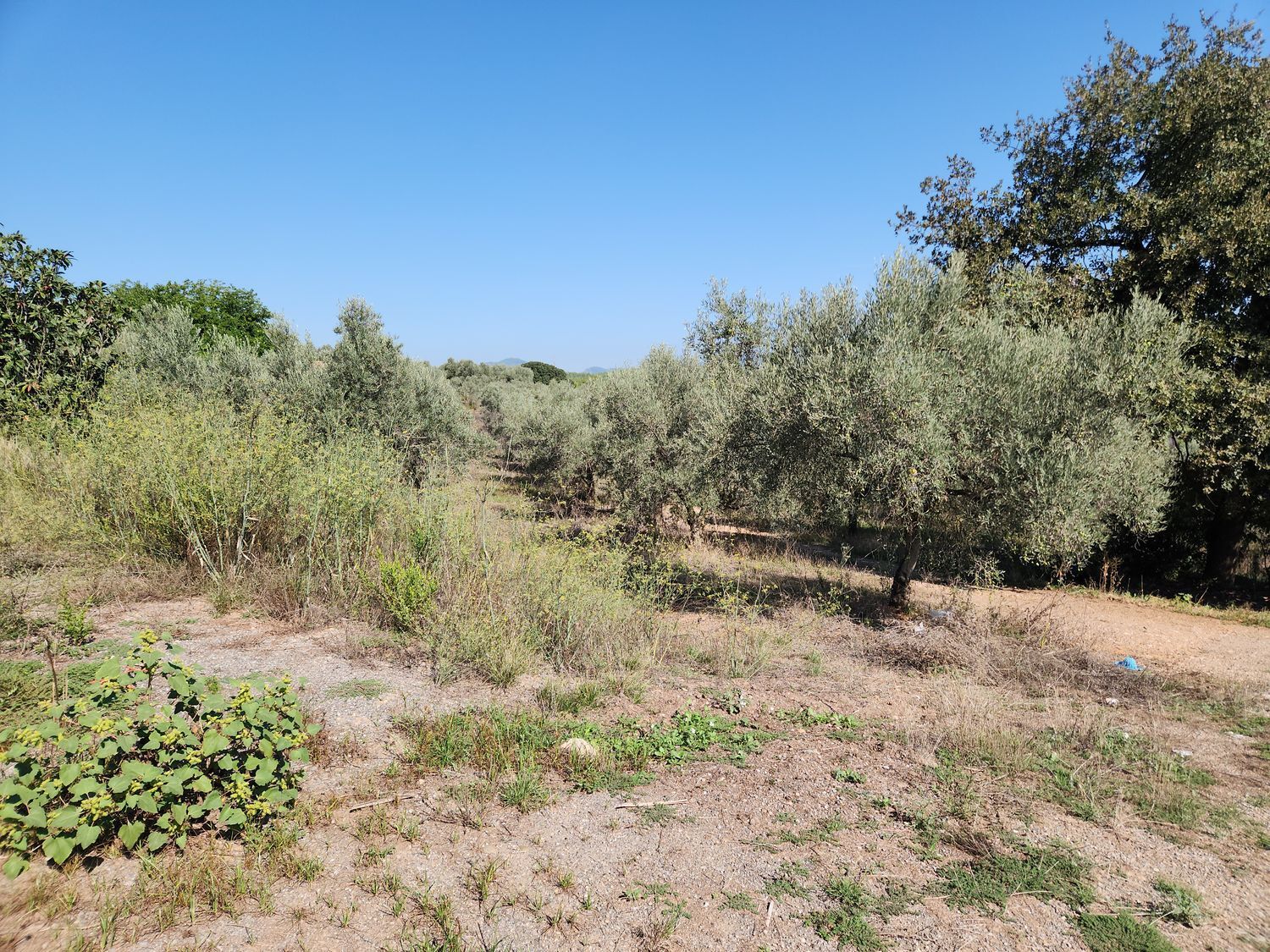 Fincas y solares-Venta-Polinyà-1833367-Foto-15