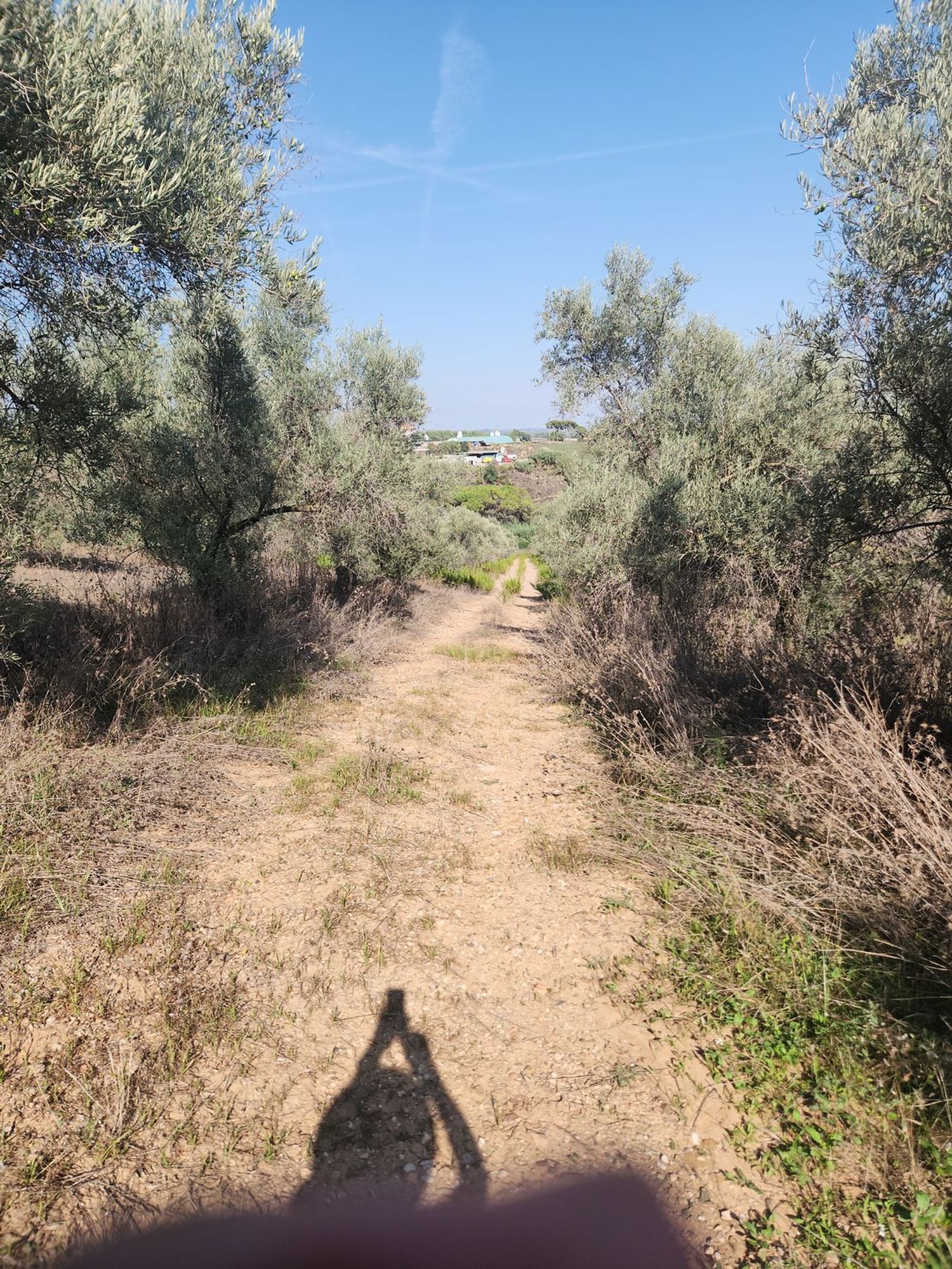 Fincas y solares-Venta-Polinyà-1833367-Foto-21