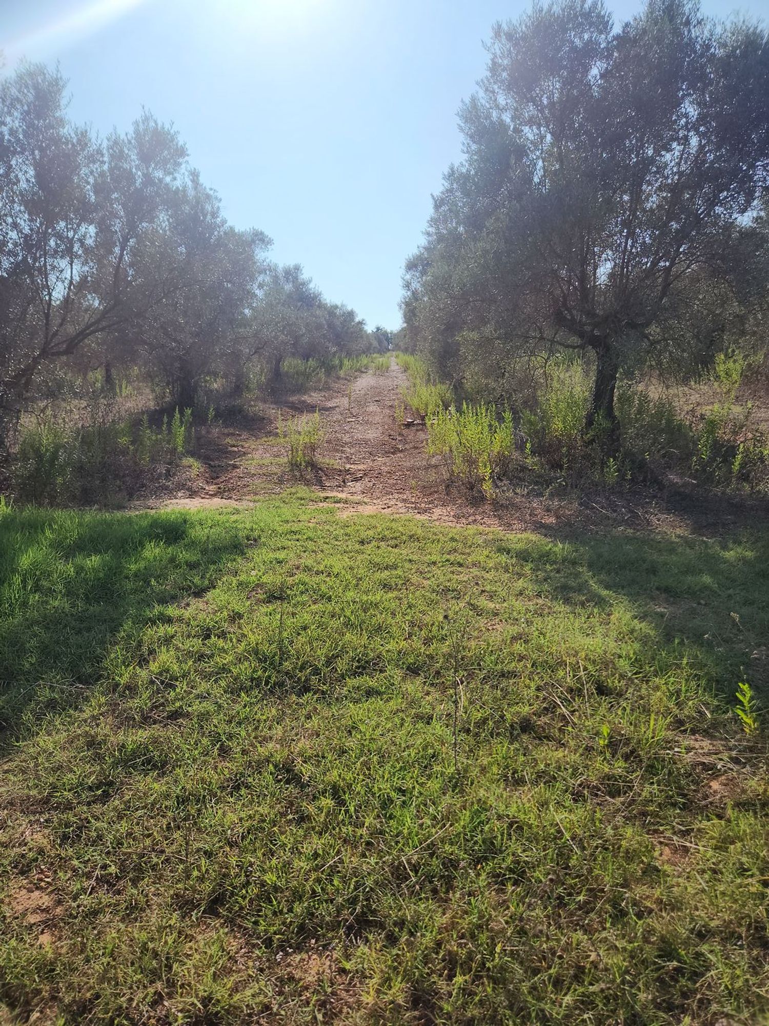 Fincas y solares-Venta-Polinyà-1833367-Foto-22