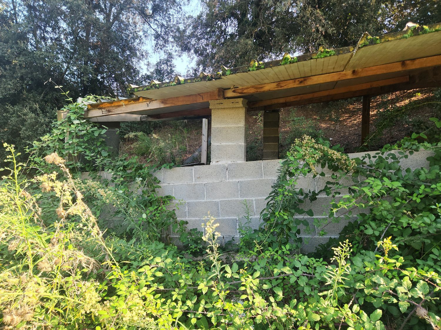 Fincas y solares-Venta-Polinyà-1833367-Foto-27