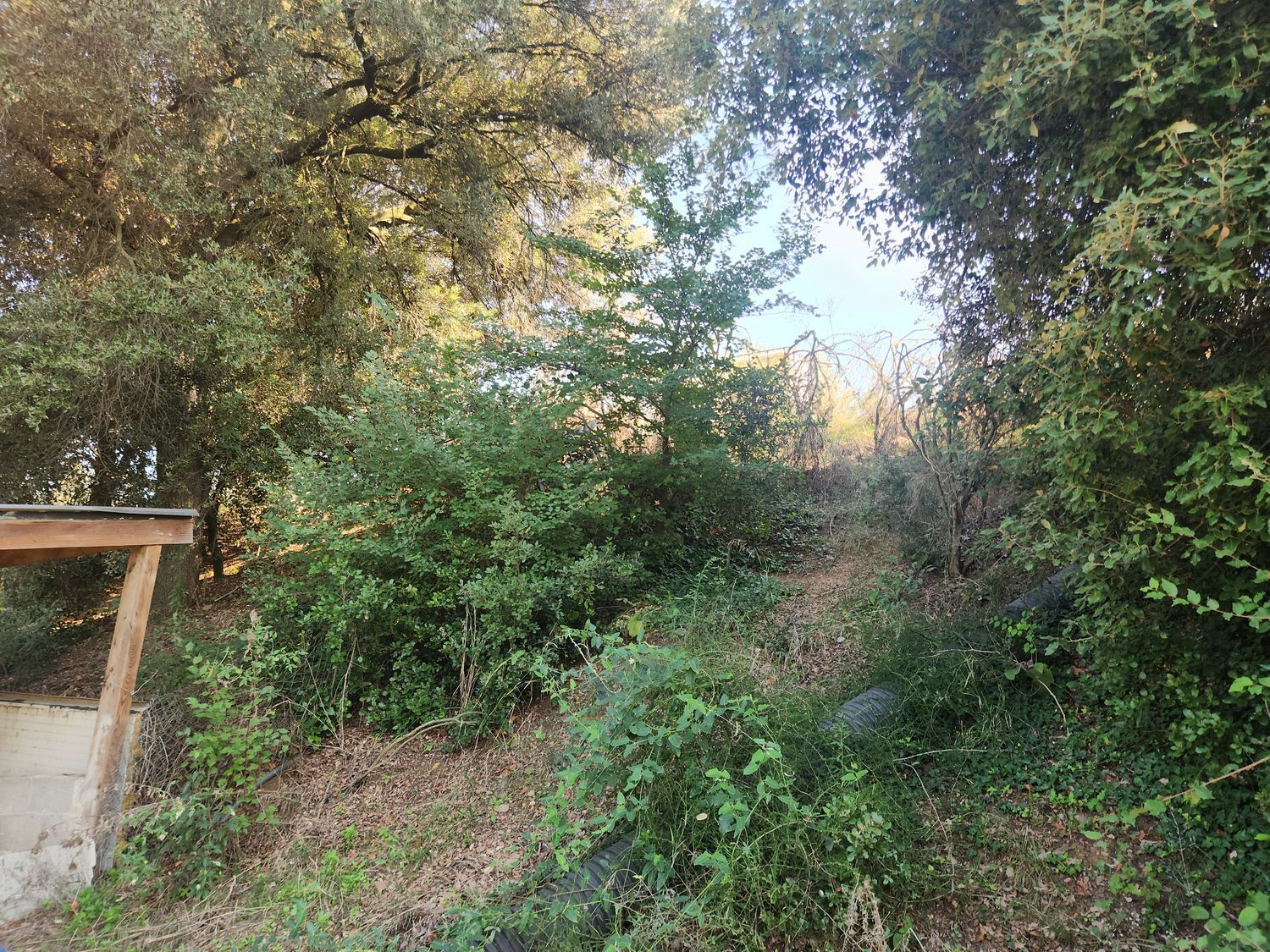 Fincas y solares-Venta-Polinyà-1833367-Foto-28
