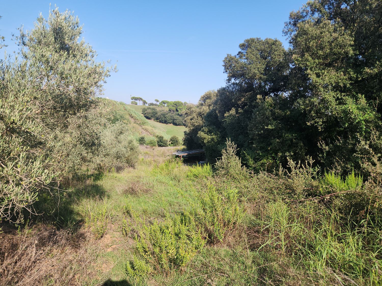 Fincas y solares-Venta-Polinyà-1833367-Foto-36