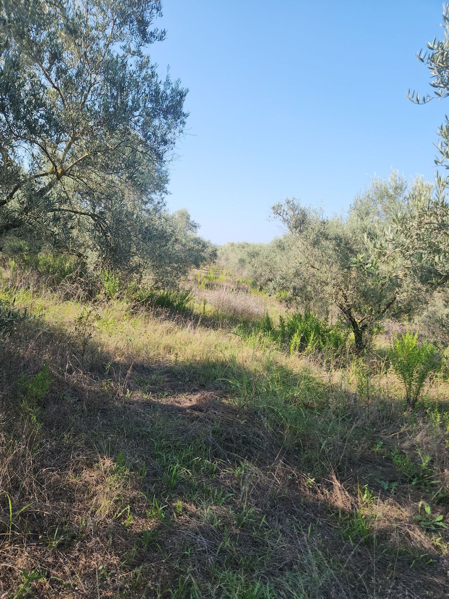 Fincas y solares-Venta-Polinyà-1833367-Foto-37