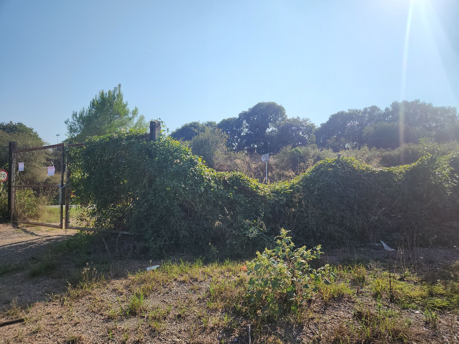 Fincas y solares-Venta-Polinyà-1833367-Foto-44