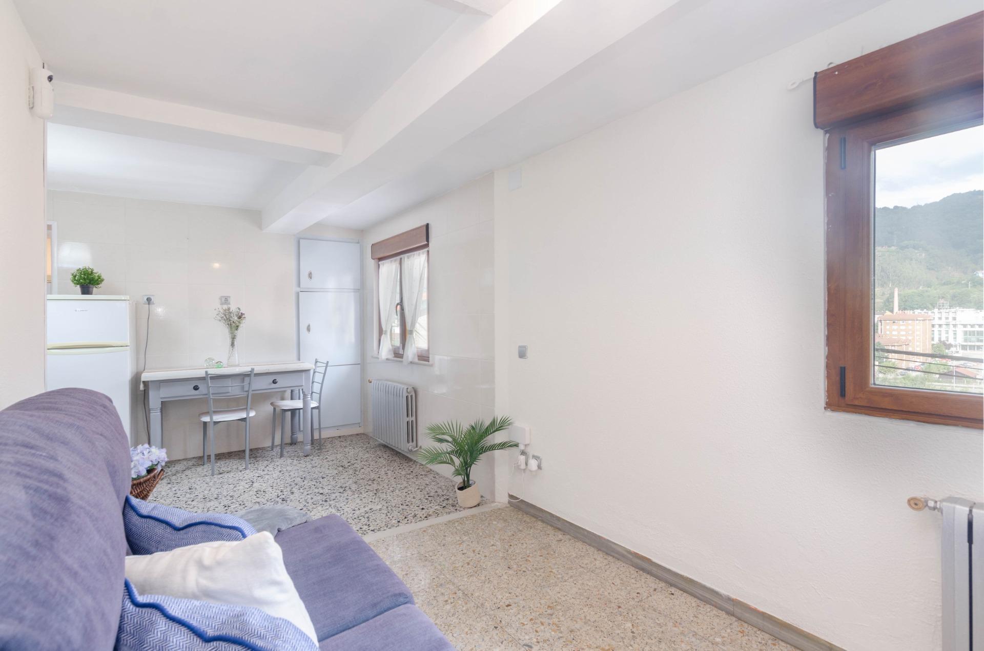 Pisos-Venta-Mieres-1866568-Foto-3