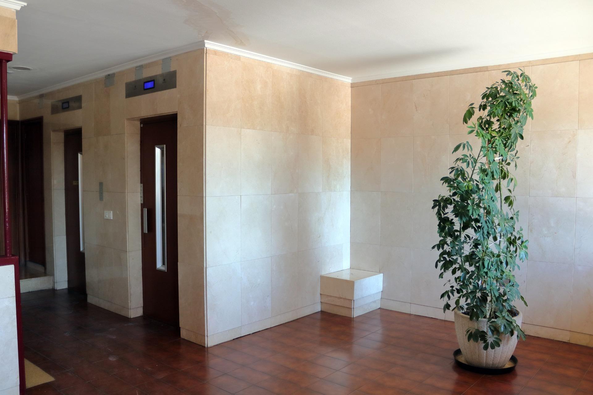 Pisos-Venta-Valladolid-1866781-Foto-5