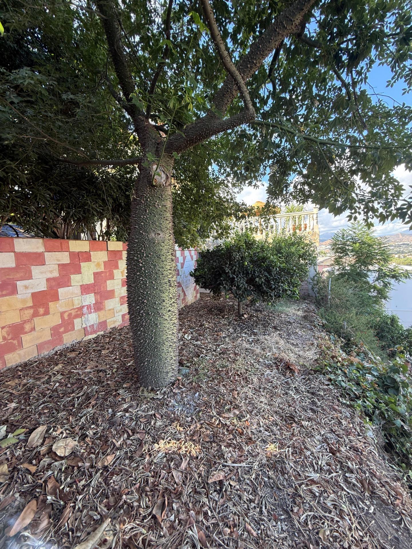 Casas o chalets-Venta-CoÃ­n-1842251-Foto-37