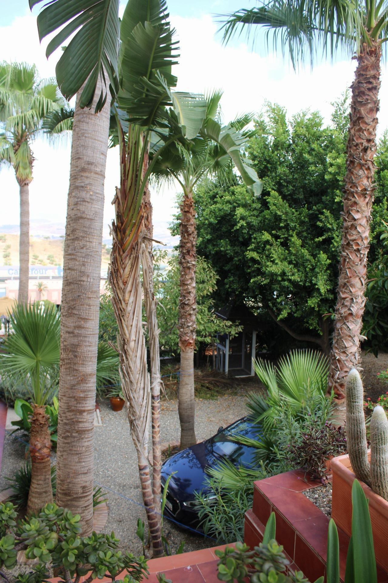 Casas o chalets-Venta-CoÃ­n-1842251-Foto-54