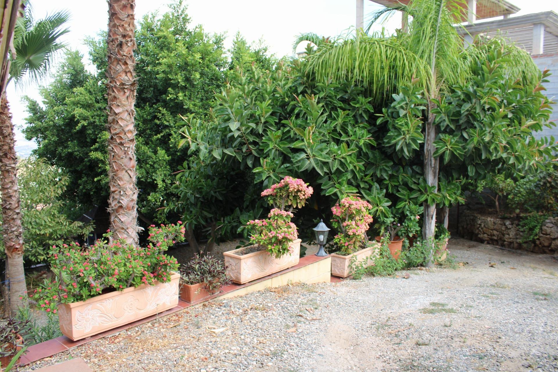Casas o chalets-Venta-CoÃ­n-1842251-Foto-53