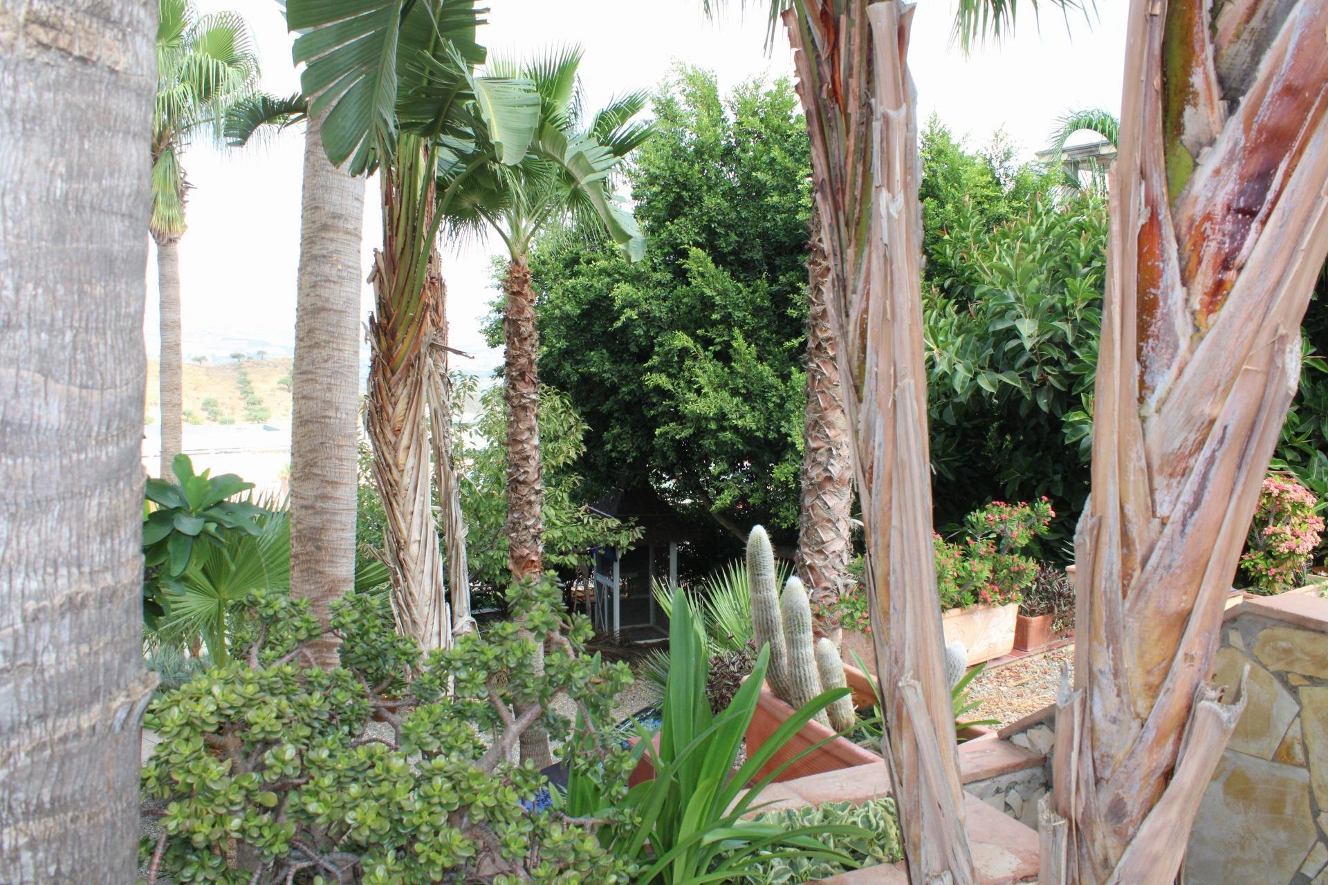 Casas o chalets-Venta-CoÃ­n-1842251-Foto-51