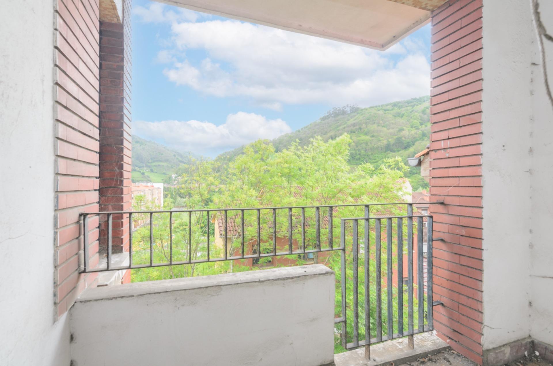 Pisos-Venta-Mieres-1867069-Foto-7