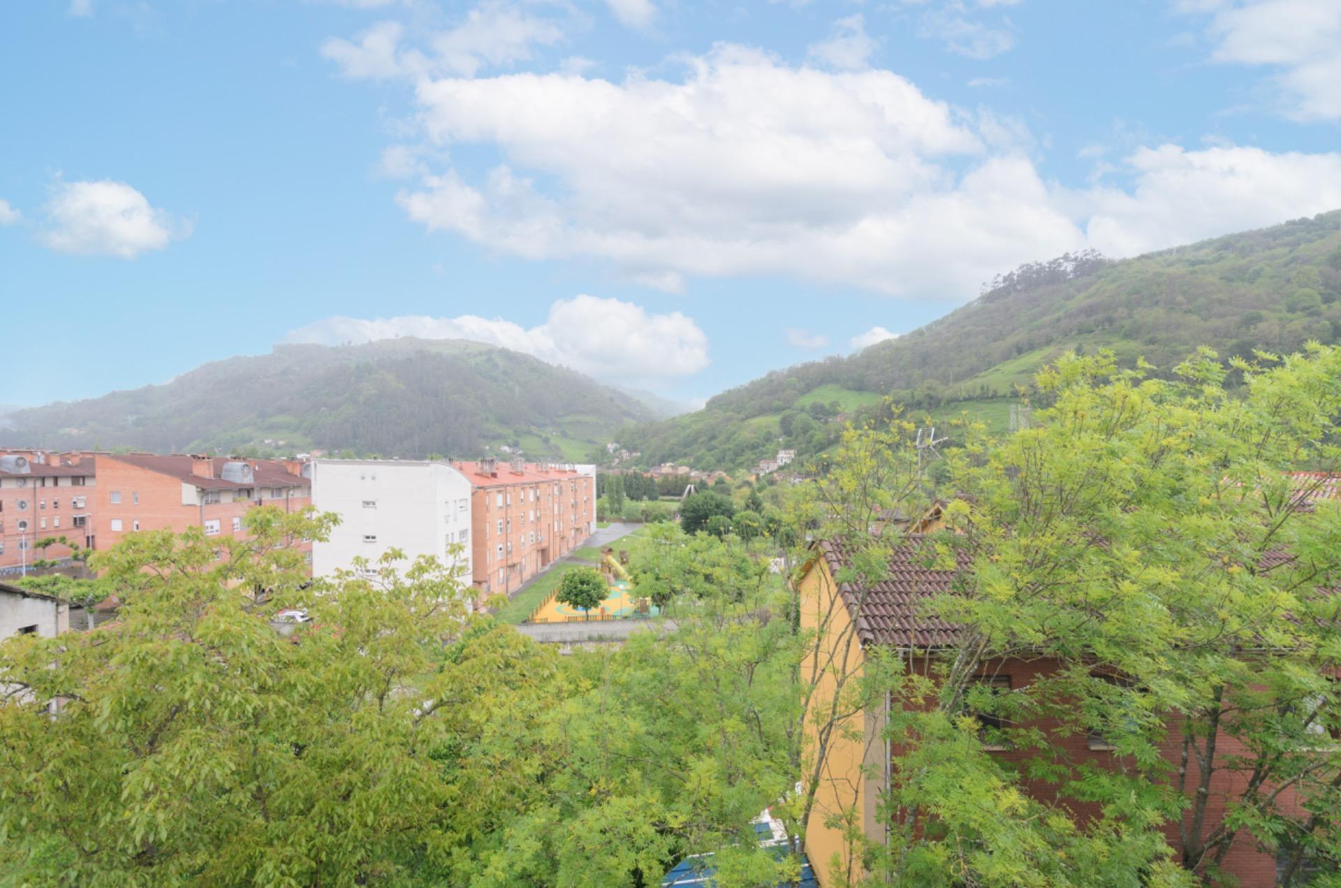Pisos-Venta-Mieres-1867069-Foto-23
