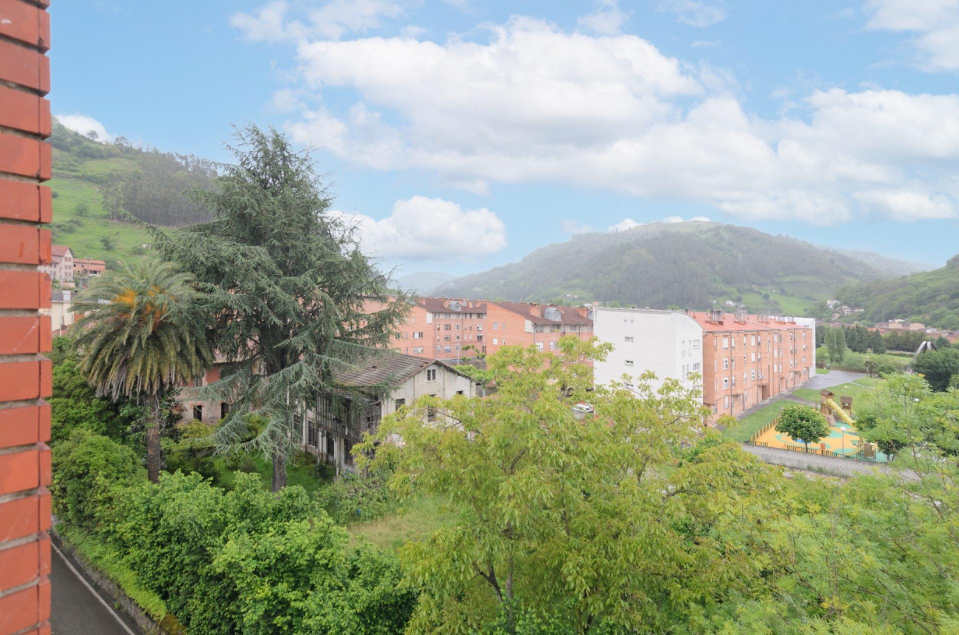 Pisos-Venta-Mieres-1867069-Foto-24