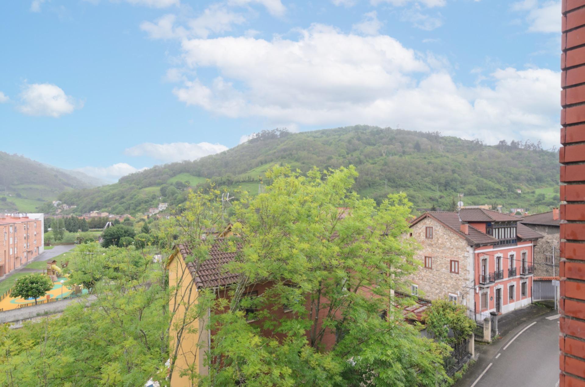 Pisos-Venta-Mieres-1867069-Foto-25