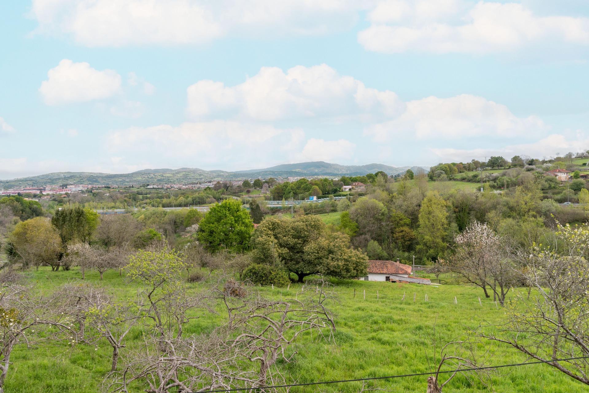 Casas o chalets-Venta-Siero-1867072-Foto-11