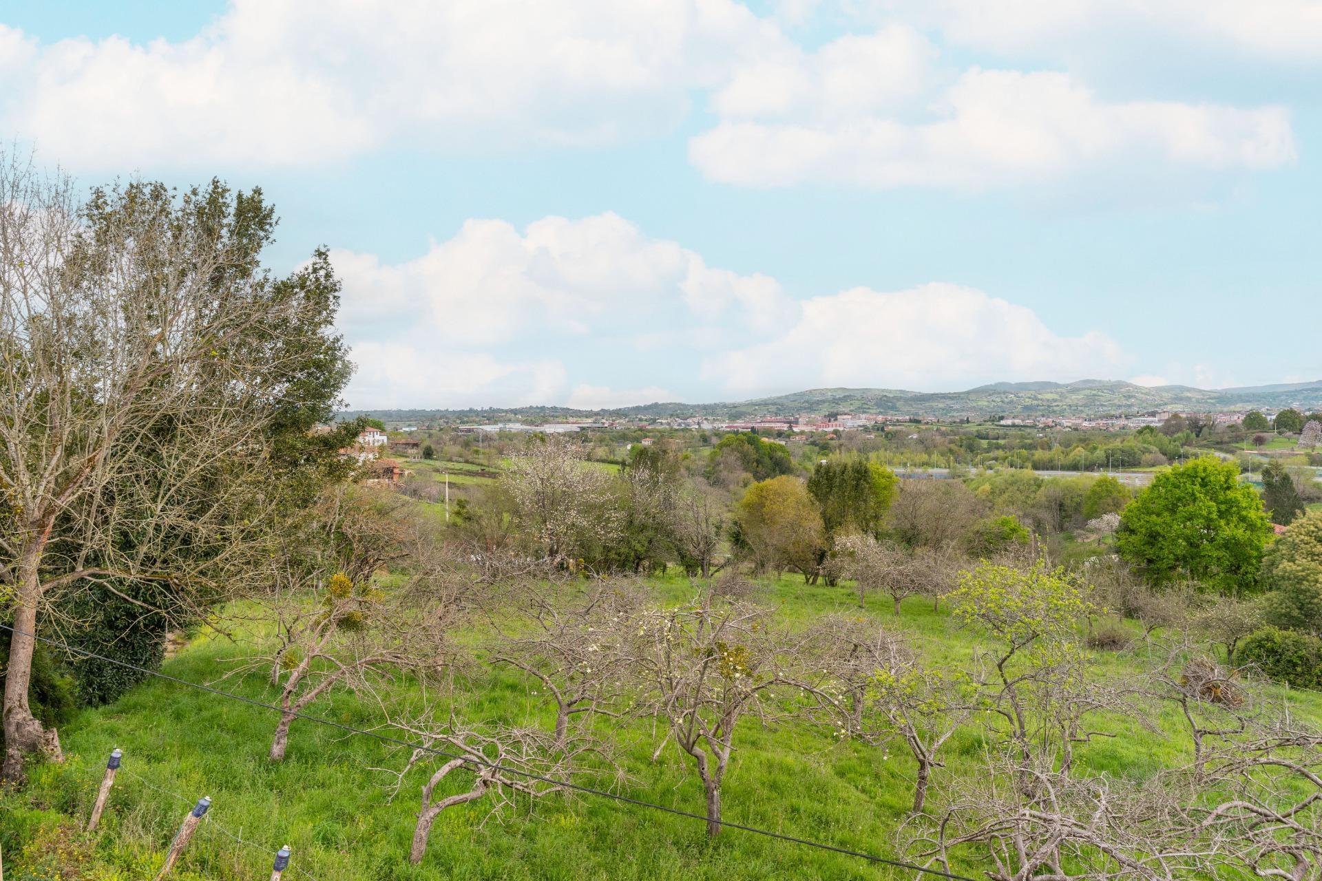 Casas o chalets-Venta-Siero-1867072-Foto-33