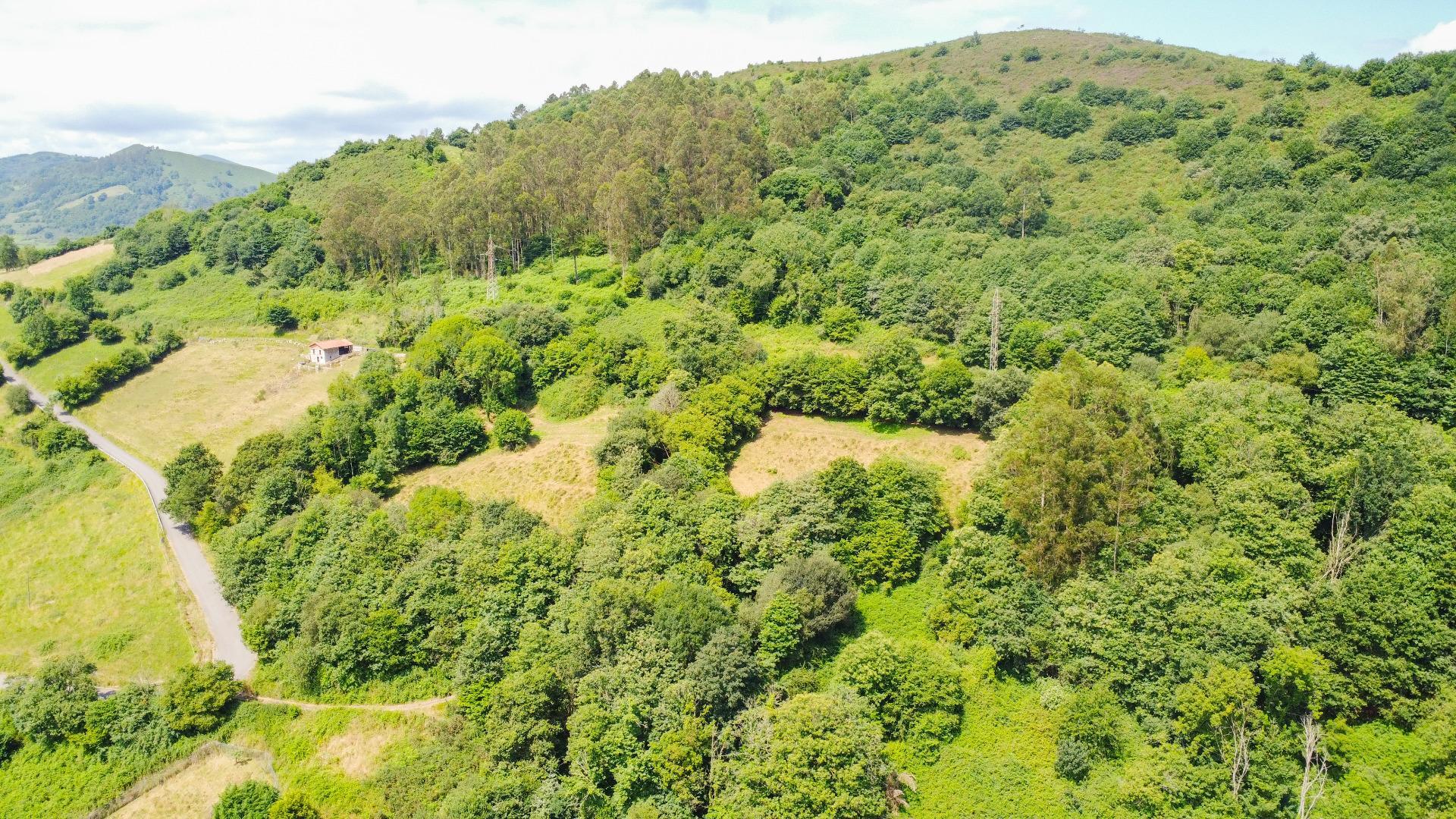 Fincas y solares-Venta-Oviedo-1867081-Foto-3