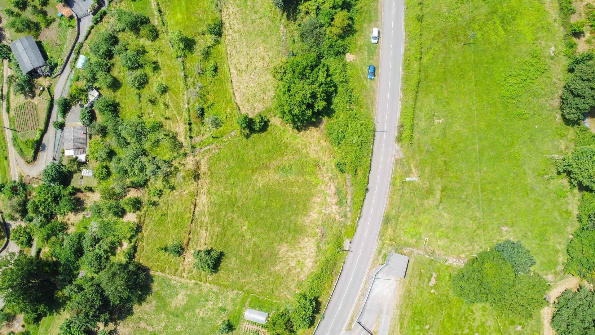 Fincas y solares-Venta-Oviedo-1867081-Foto-9