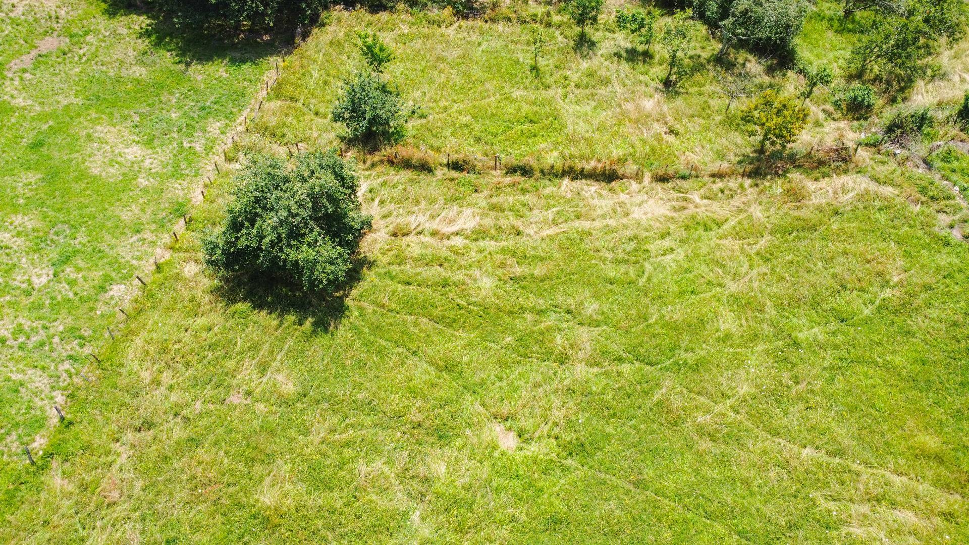 Fincas y solares-Venta-Oviedo-1867081-Foto-14