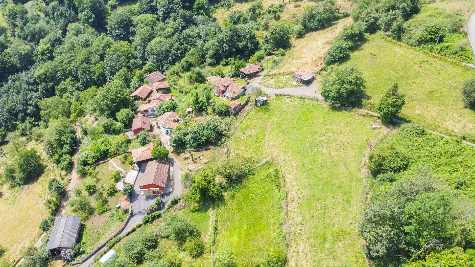 Fincas y solares-Venta-Oviedo-1867081-Foto-24