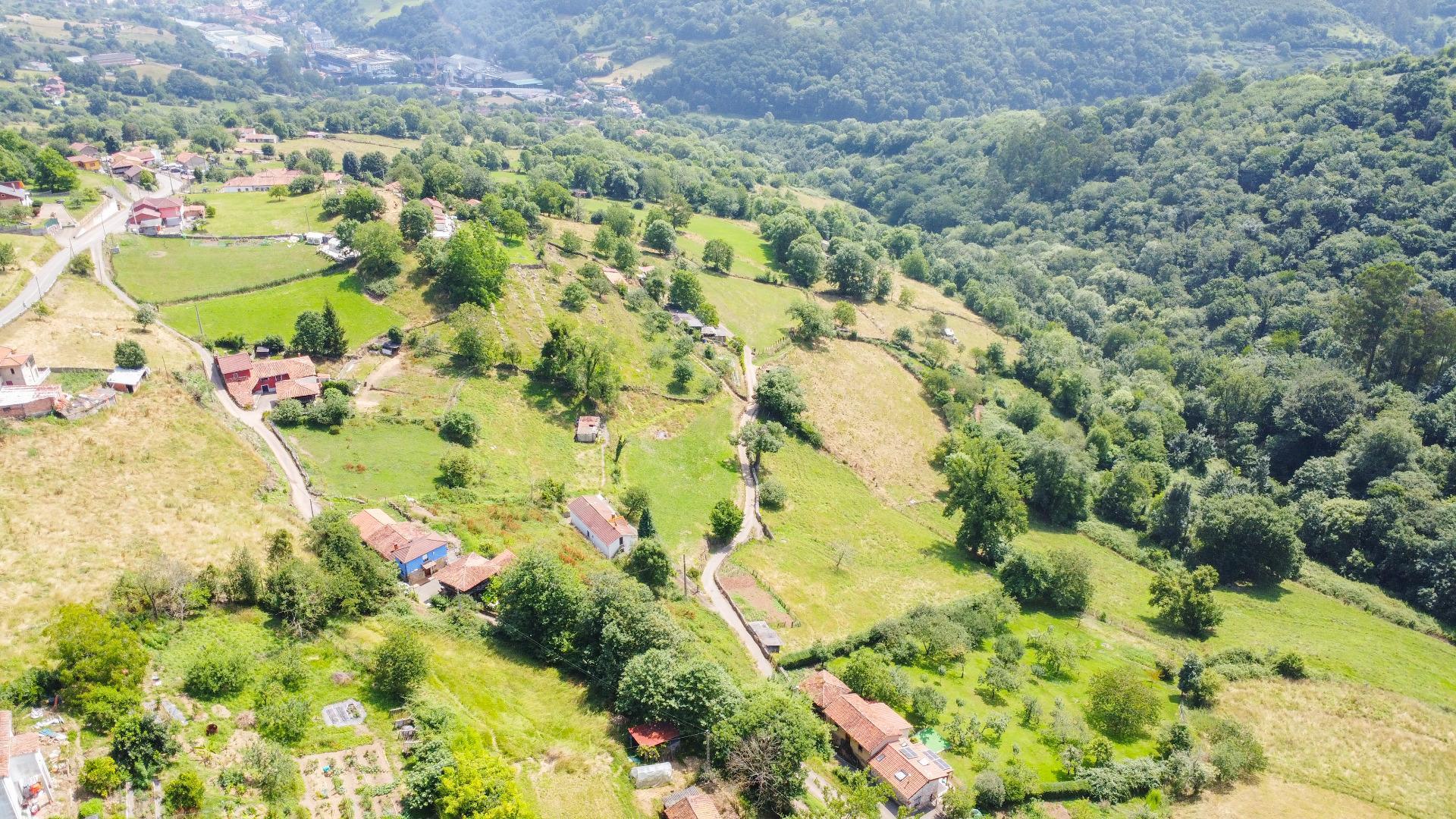 Fincas y solares-Venta-Oviedo-1867081-Foto-23