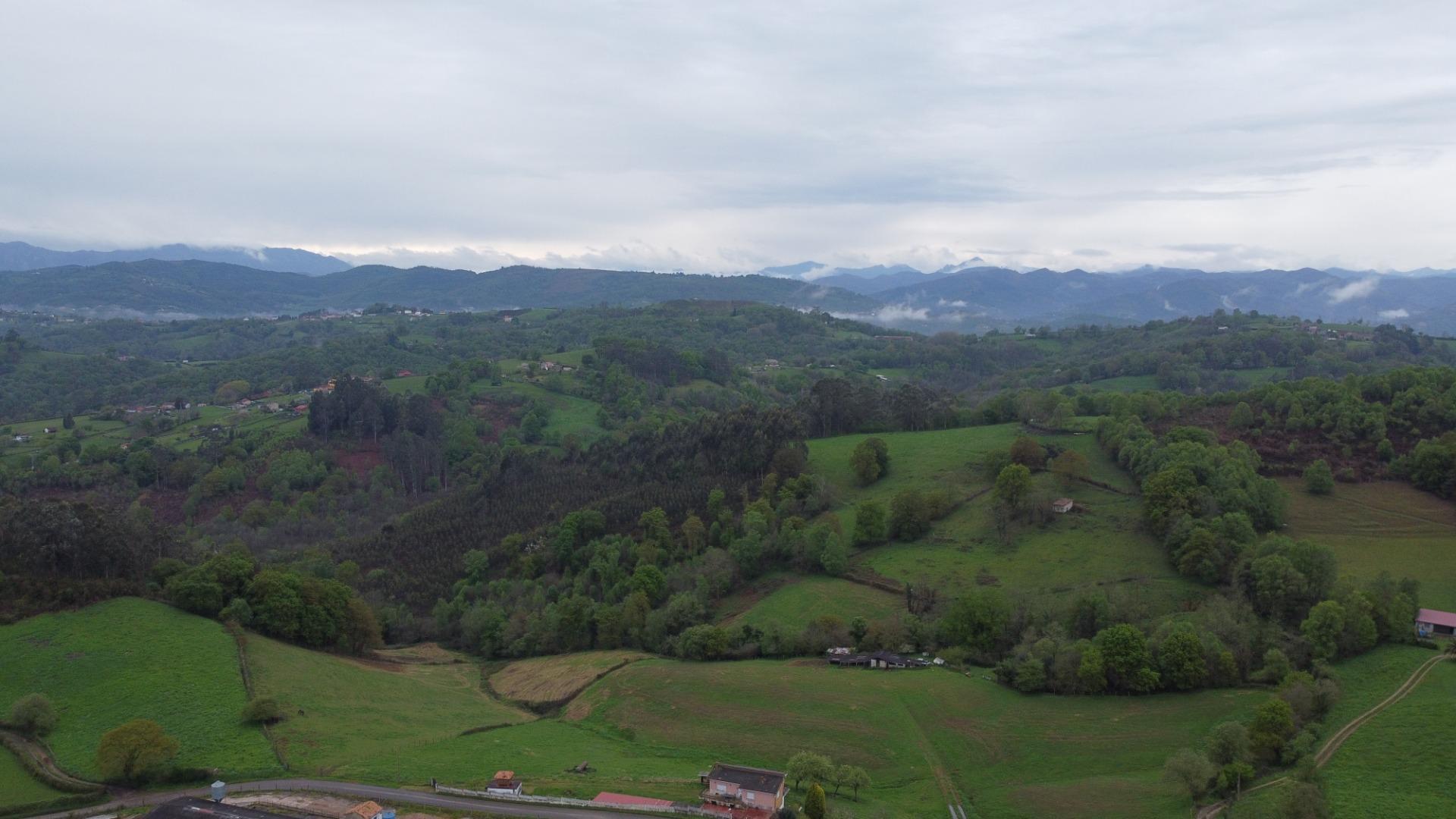Casas o chalets-Venta-Siero-1867084-Foto-5