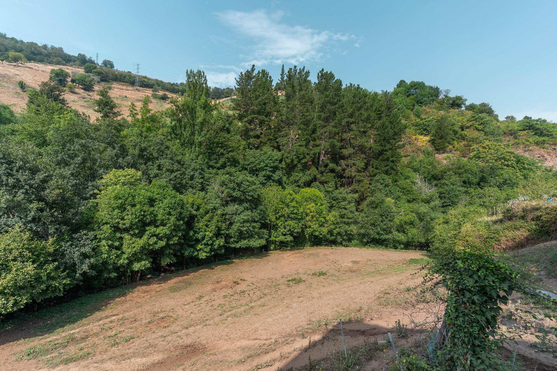 Pisos-Venta-Cangas del Narcea-1867090-Foto-4
