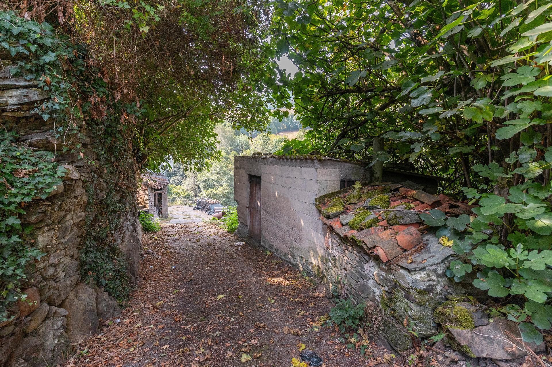 Pisos-Venta-Cangas del Narcea-1867090-Foto-38