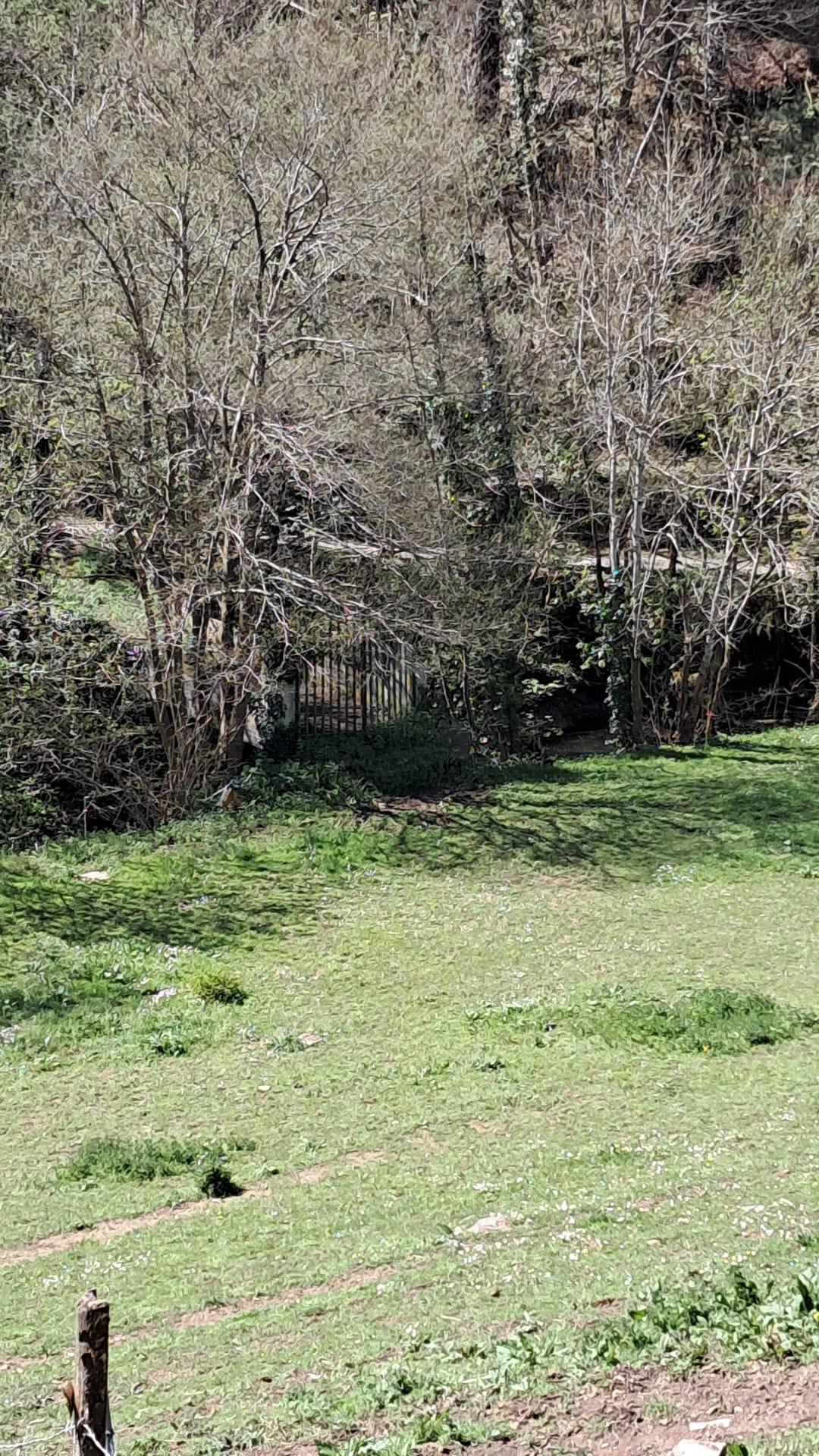 Pisos-Venta-Cangas del Narcea-1867090-Foto-35
