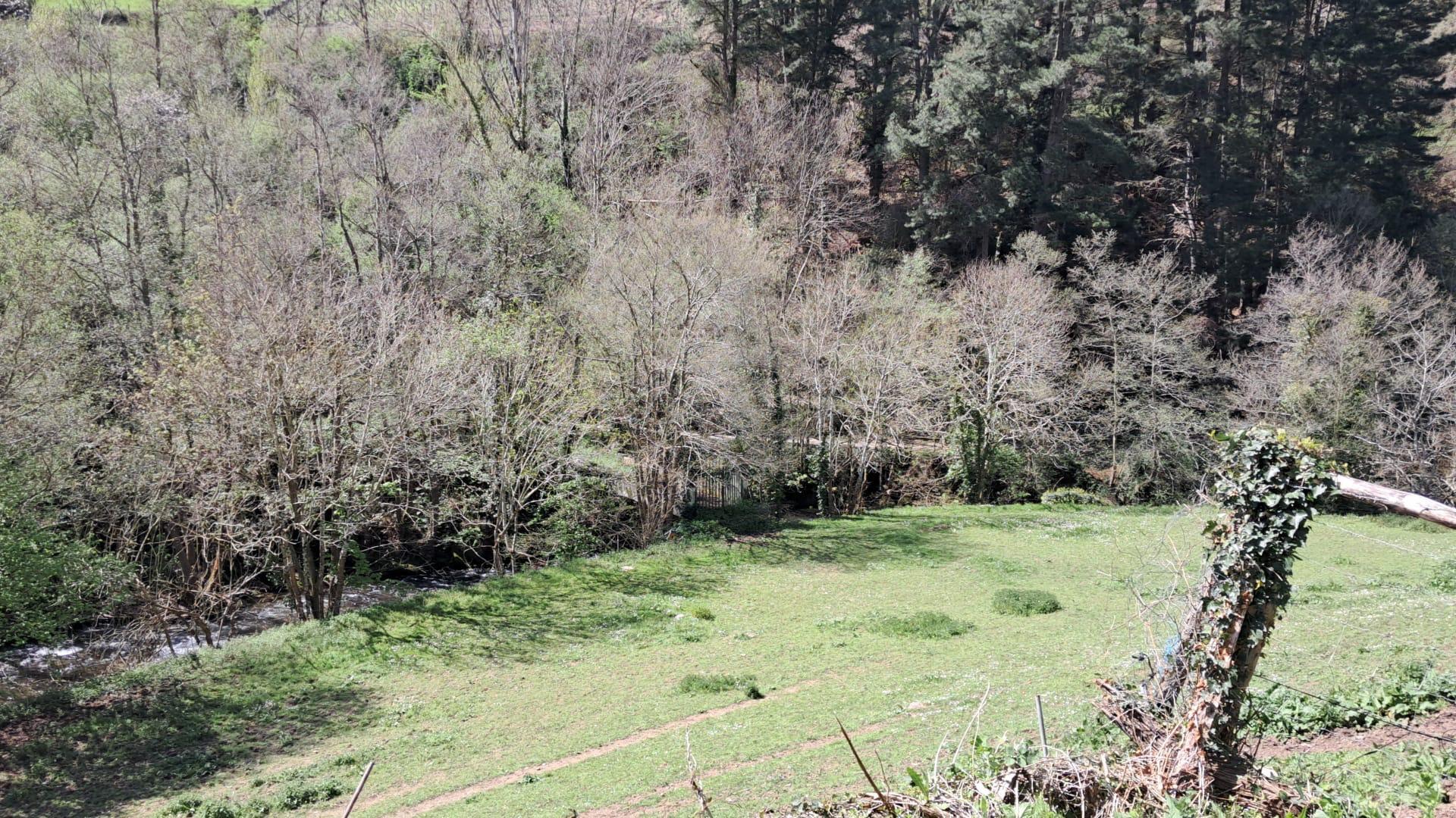Pisos-Venta-Cangas del Narcea-1867090-Foto-45