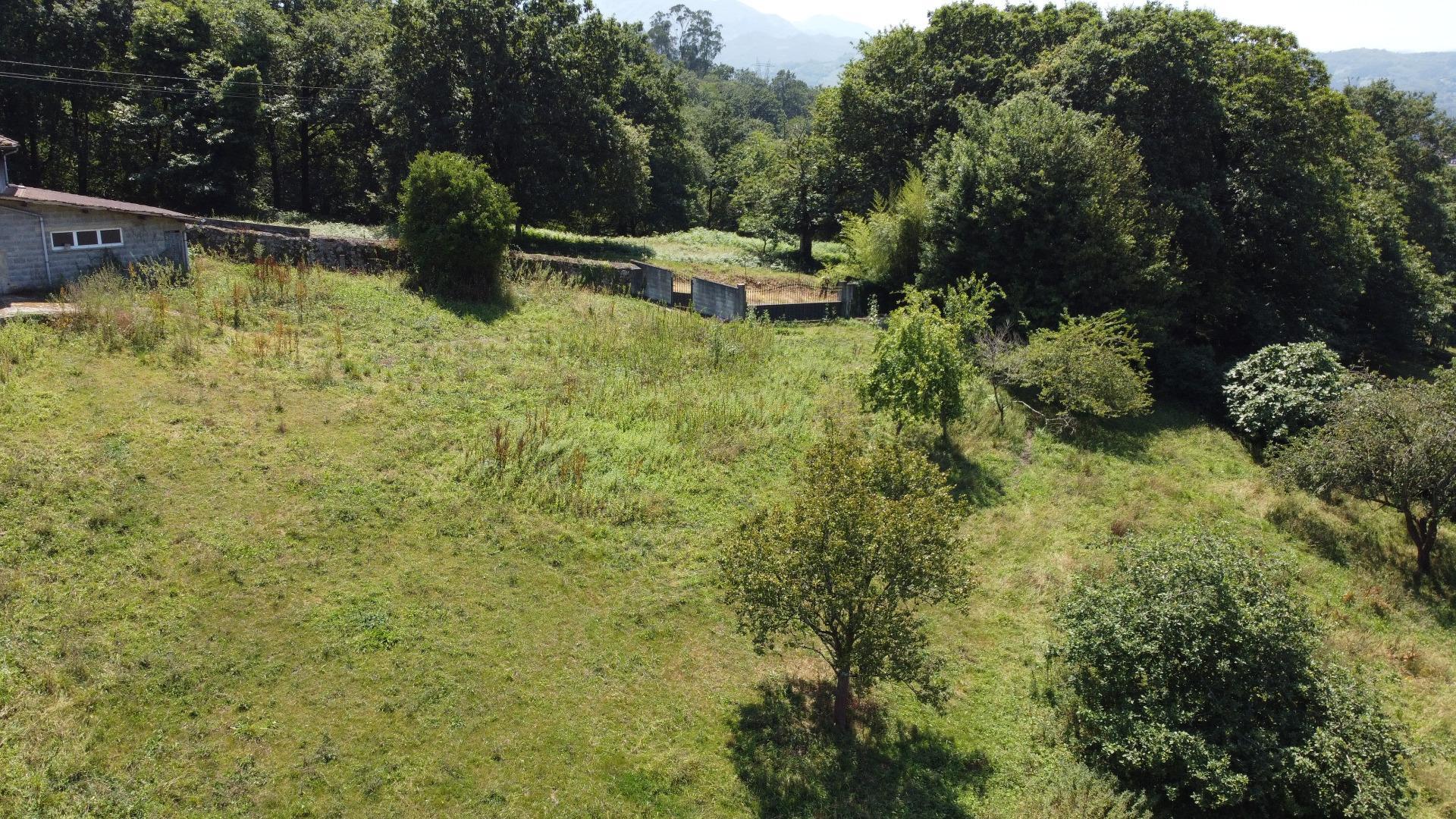 Fincas y solares-Venta-Oviedo-1867108-Foto-11