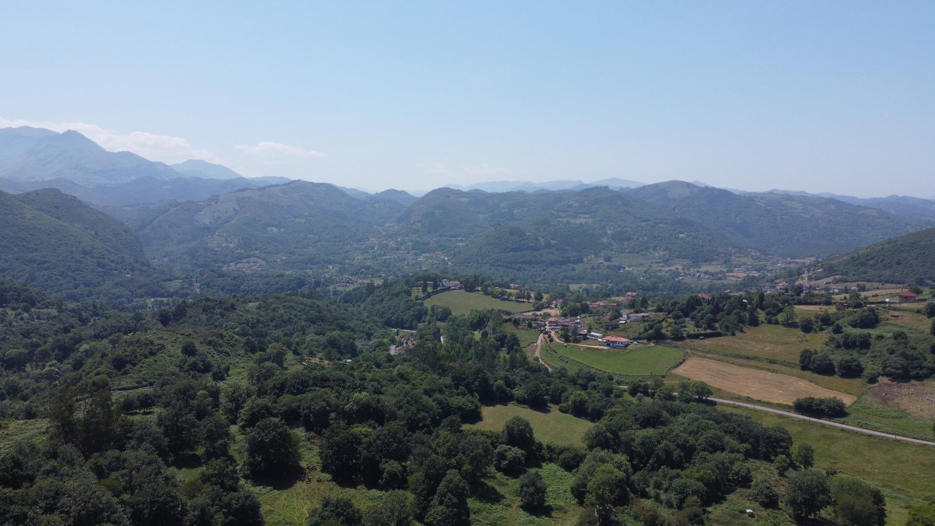 Fincas y solares-Venta-Oviedo-1867108-Foto-25