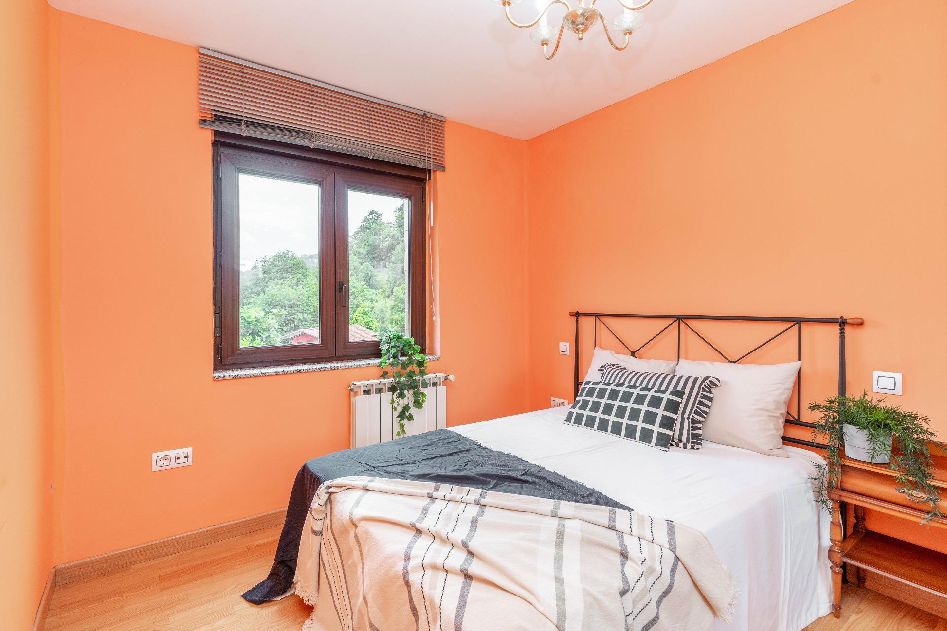 Casas o chalets-Venta-Mieres-1867123-Foto-5