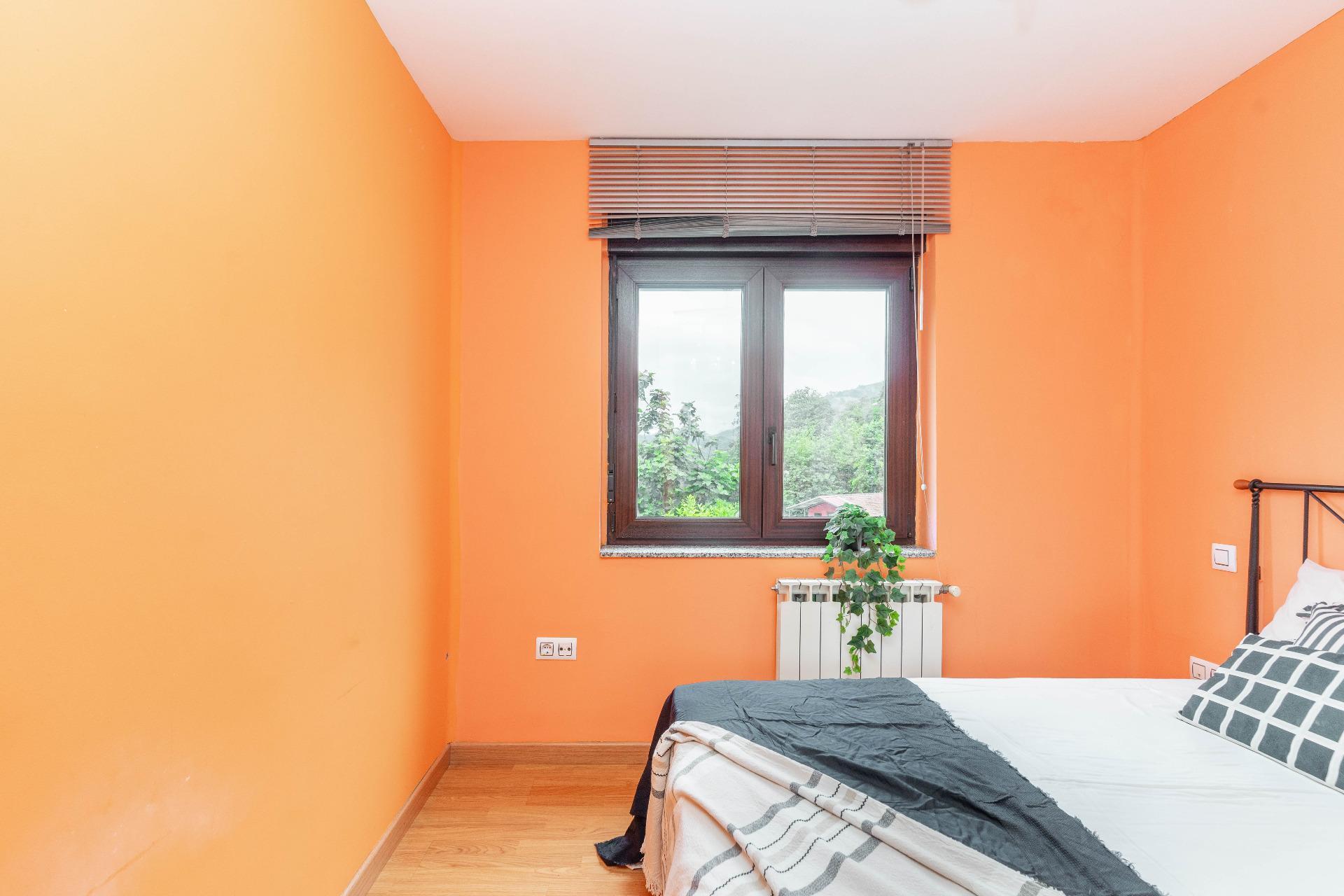 Casas o chalets-Venta-Mieres-1867123-Foto-17