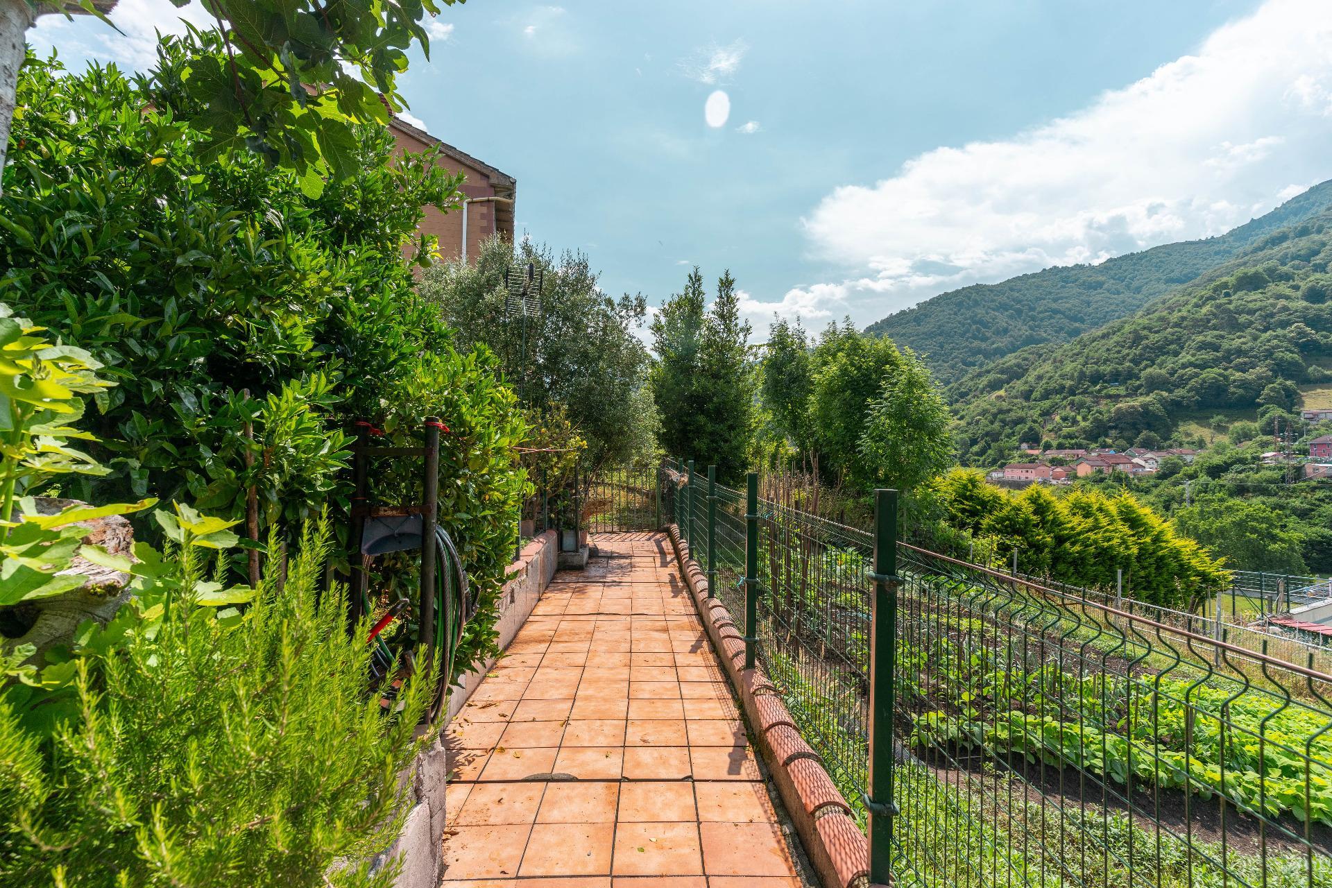 Casas o chalets-Venta-Mieres-1867123-Foto-24
