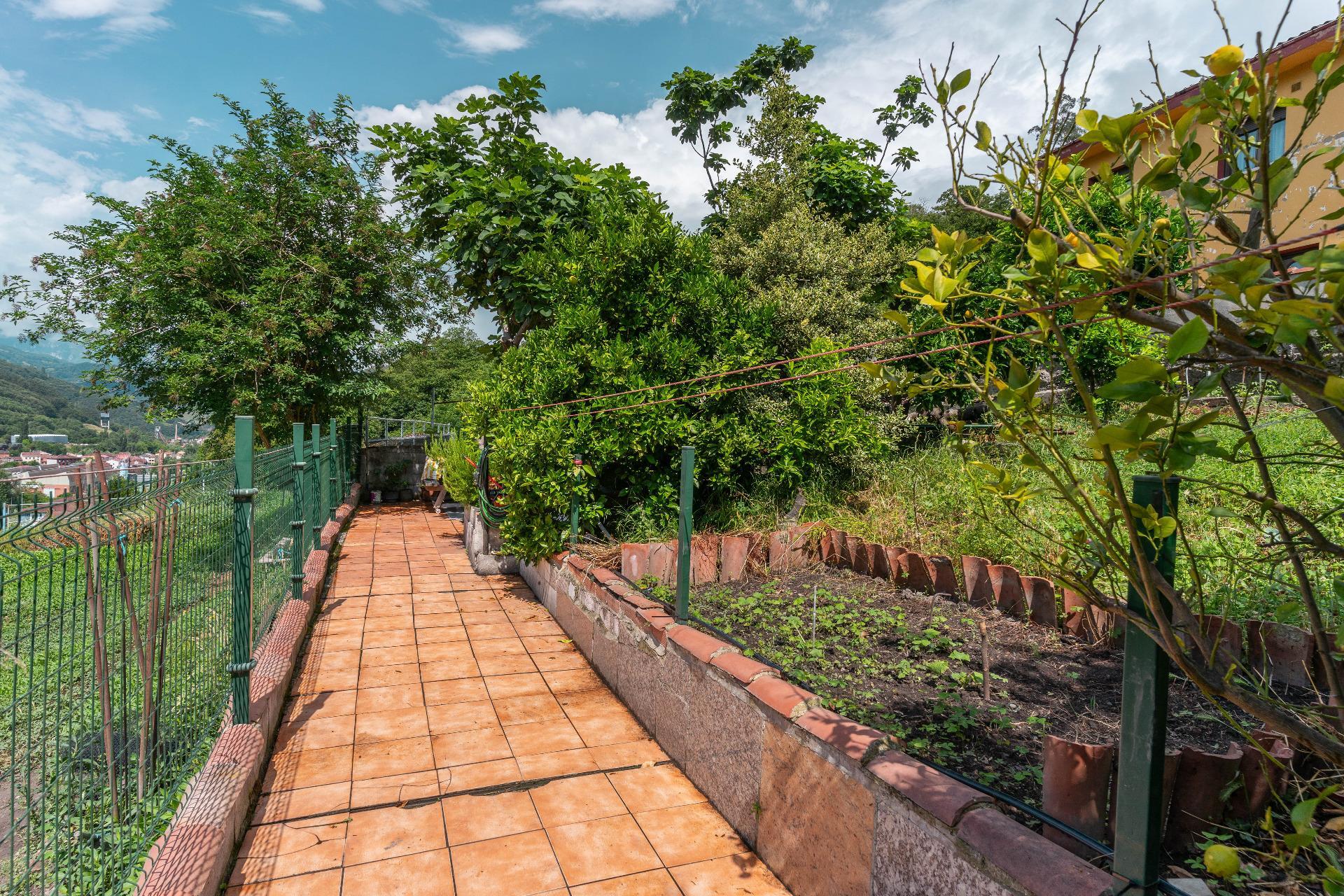 Casas o chalets-Venta-Mieres-1867123-Foto-25