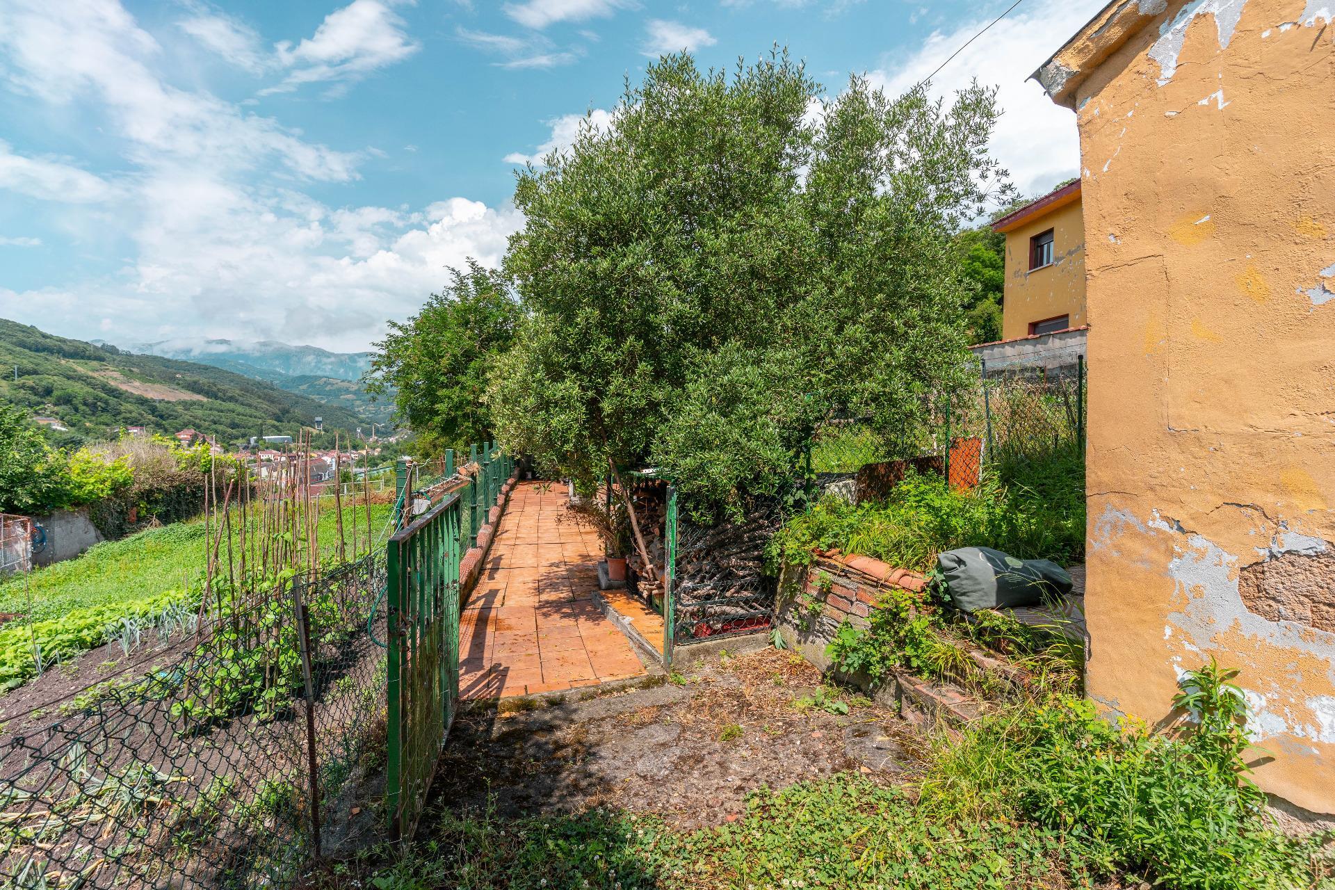 Casas o chalets-Venta-Mieres-1867123-Foto-28