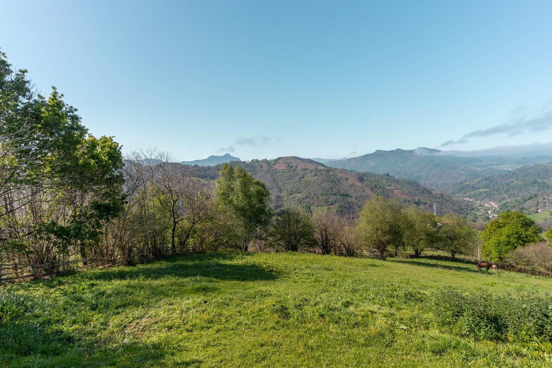 Casas o chalets-Venta-Laviana-1867126-Foto-22