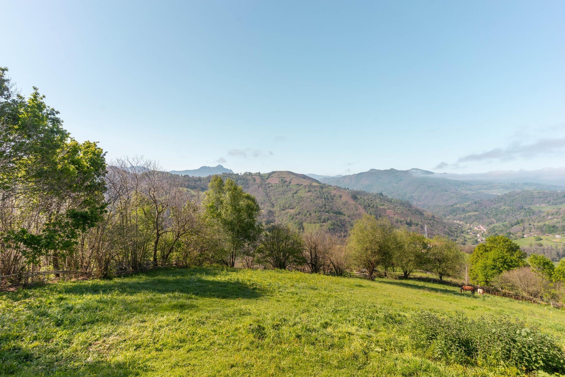 Casas o chalets-Venta-Laviana-1867126-Foto-24