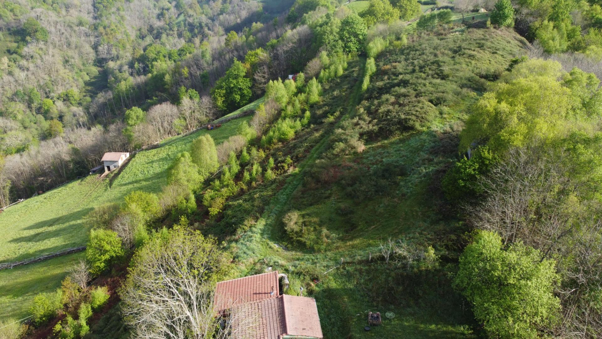 Casas o chalets-Venta-Laviana-1867126-Foto-41