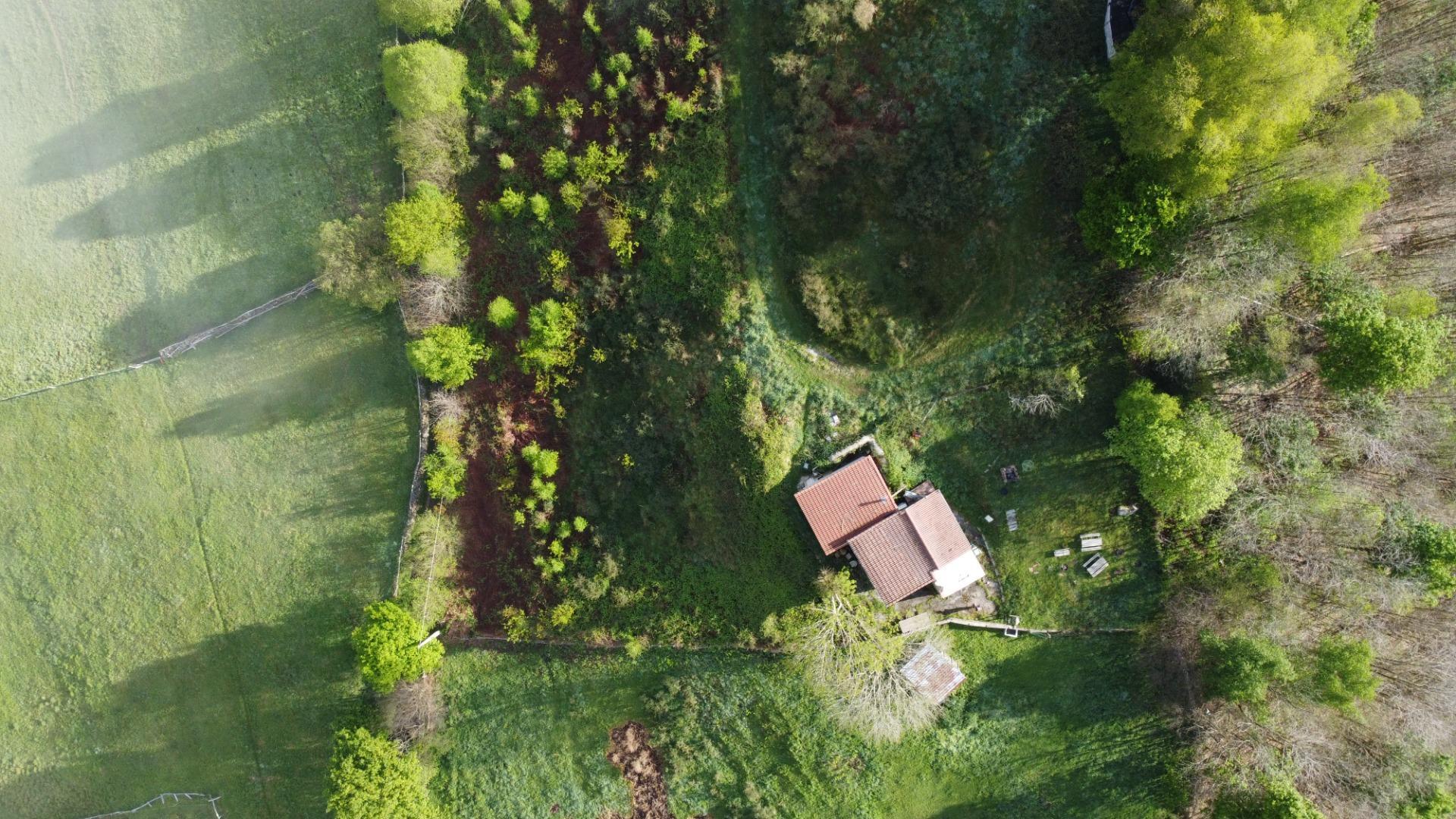 Casas o chalets-Venta-Laviana-1867126-Foto-37