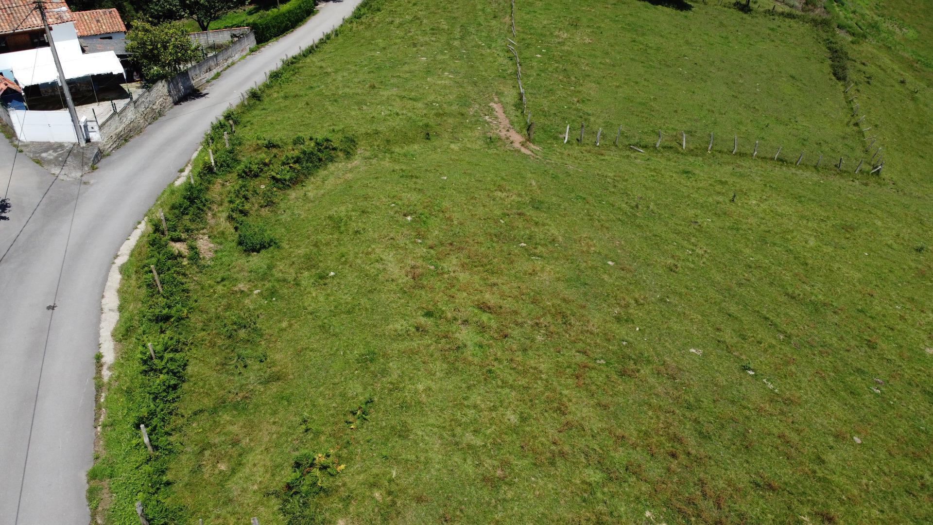 Fincas y solares-Venta-Siero-1867129-Foto-5